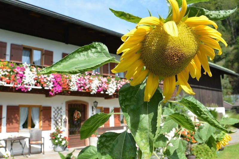 Haus Jagerer Hotel Ramsau bei Berchtesgaden Exterior foto
